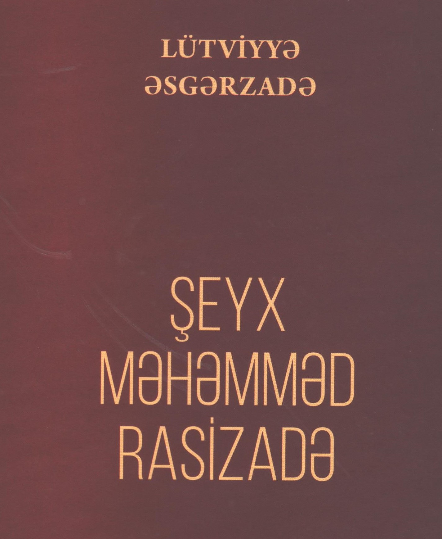 ?eyx M?h?mm?d Rasizad?. S?n?tkar?n elmi pasportu�47