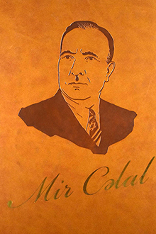 Mir C?lal: II cild